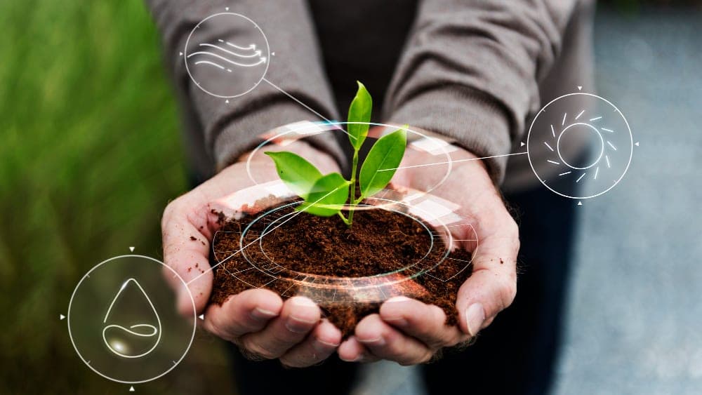 ESG & Climate Advisory